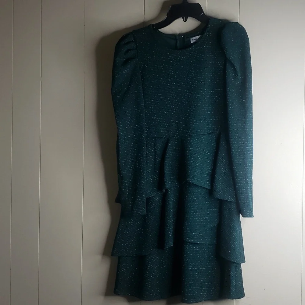 Honey & Rosie Girls  Hunter Green Long Sleeve Ruffles Squin Dress 16